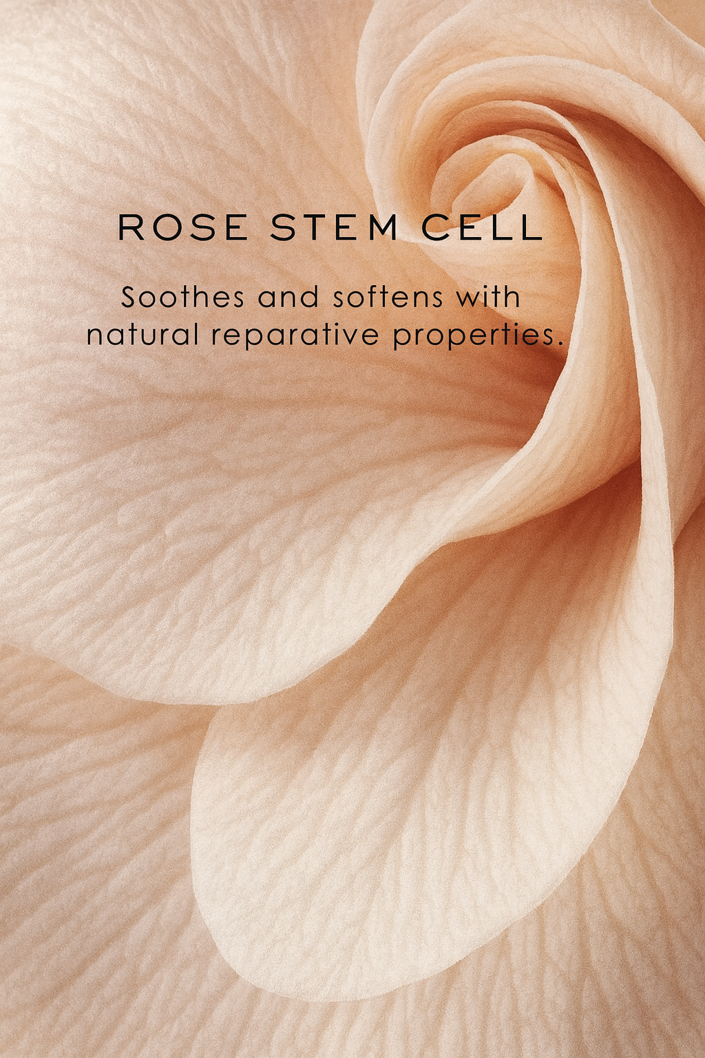 Natural Skincare for Your Lips: Key Ingredients in Aroseè Lip Gel
